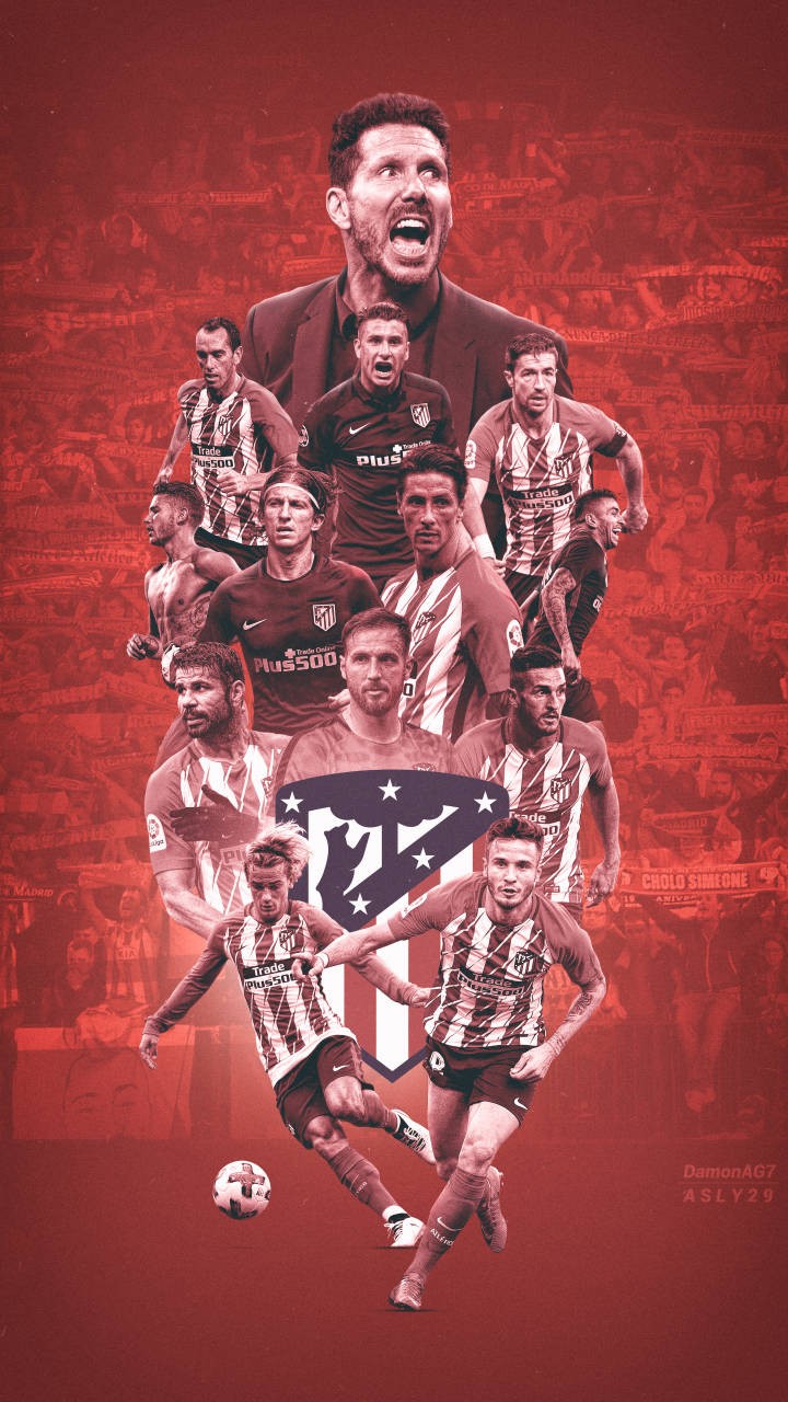 从奥运冠军到德国杯MVP 樊振东的留洋首冠为何让5200名观众沸腾